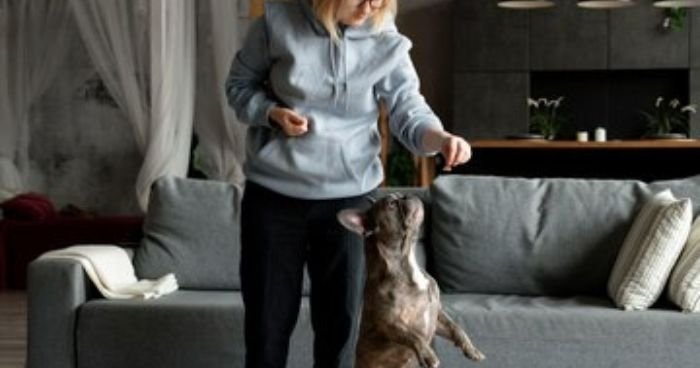 AITA for Putting My Son Dog Ahead of My Wife Pregnancy Fears?